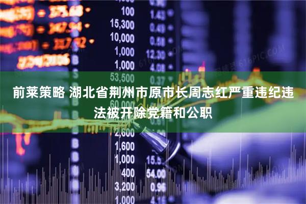 前莱策略 湖北省荆州市原市长周志红严重违纪违法被开除党籍和公职