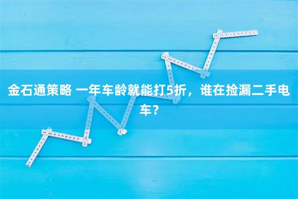 金石通策略 一年车龄就能打5折，谁在捡漏二手电车？